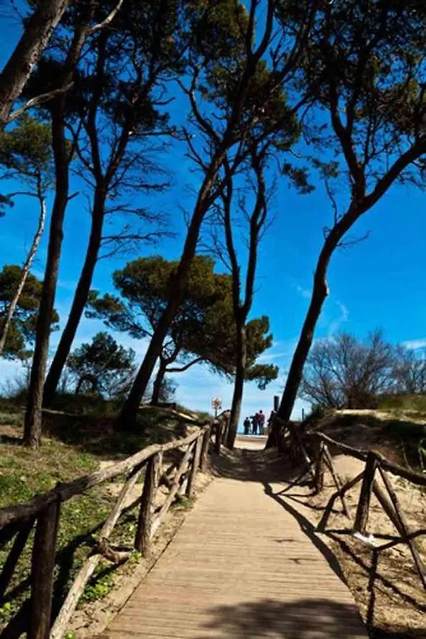 Primerisima Linea De Mar. Hutg 038644-53 L'Escala Apartment