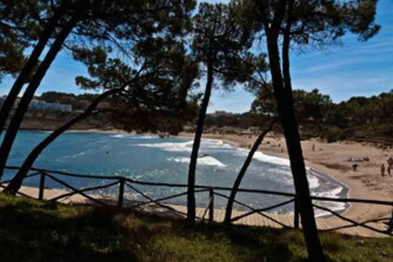 Primerisima Linea De Mar. Hutg 038644-53 L'Escala